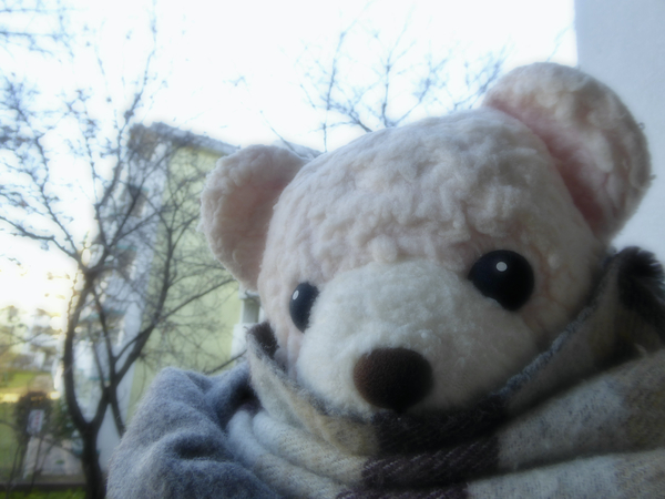 f:id:poolame:20211128081856j:plain