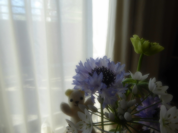 f:id:poolame:20220122121047j:plain