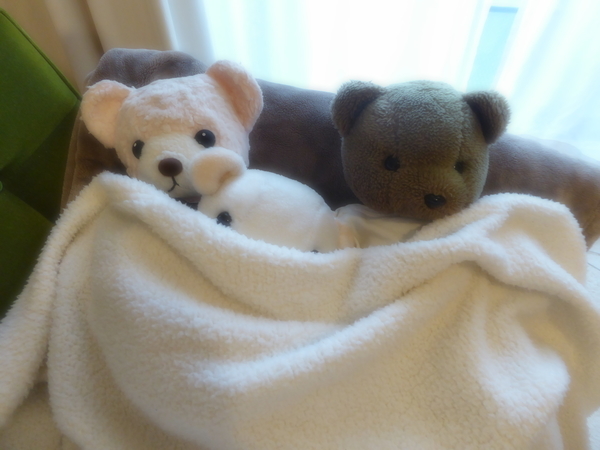f:id:poolame:20220130082905j:plain