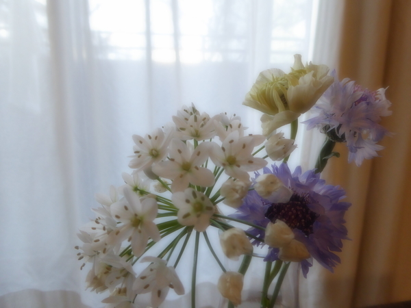 f:id:poolame:20220130082954j:plain