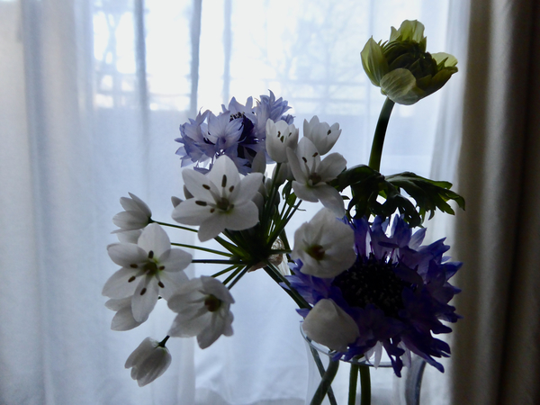 f:id:poolame:20220130083159j:plain
