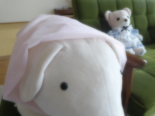 f:id:poolame:20220320094644j:plain