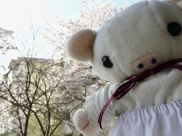 f:id:poolame:20220401171351j:plain