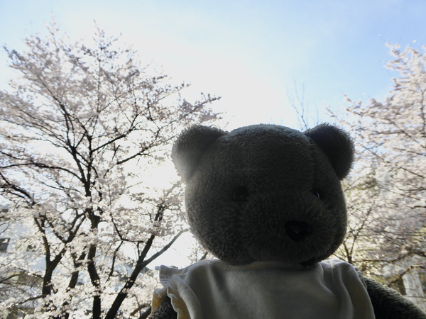 f:id:poolame:20220401171421j:plain