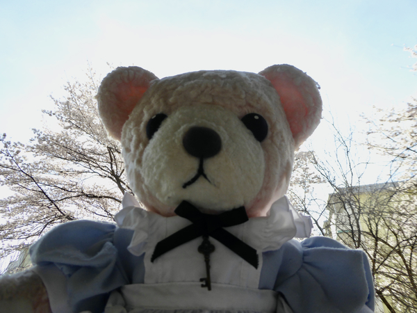 f:id:poolame:20220401171437j:plain