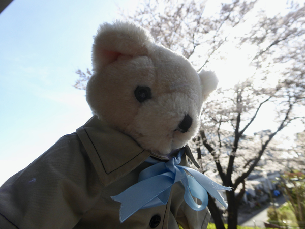 f:id:poolame:20220401171450j:plain