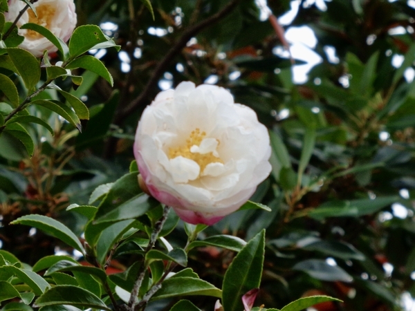 20241116204954