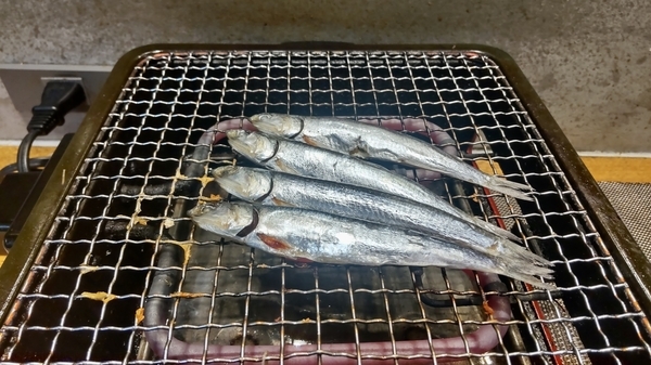 焼き台の上にカタクチイワシが4尾