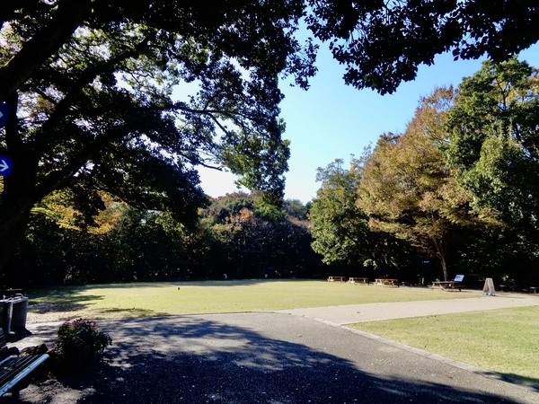 国道一号線側からの柿田川公園入り口