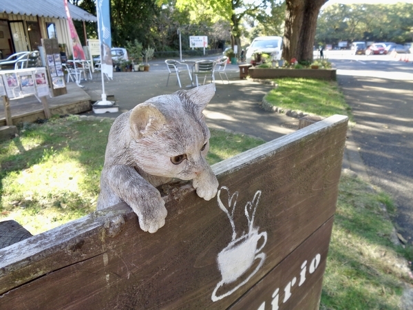 カフェの看板の上に猫の置物がそなえつけてある