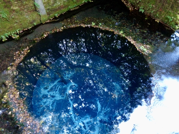 湧き水が刻々あふれていく井戸穴に木々の影が映ったり、湧水が吹き上げる砂に光が反射したりして青く光っている