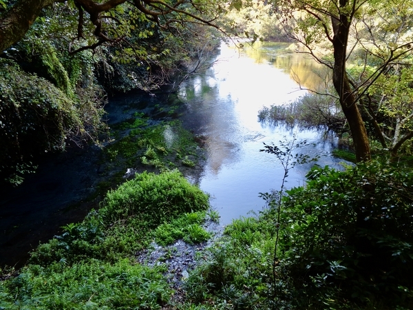 柿田川公園第一展望台からの眺め