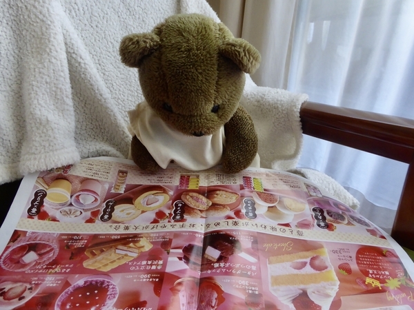 シャトレーゼのちらしを熟読するくまのぬいぐるみ