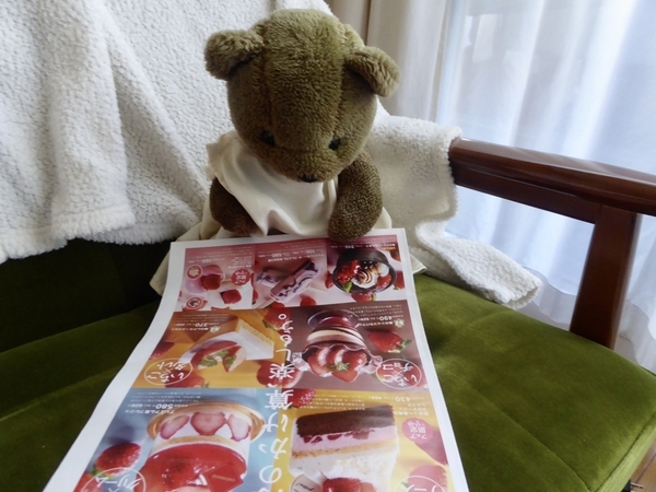 シャトレーゼのちらしを手に取る茶色いくまのぬいぐるみ