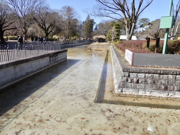 公園の堀写真