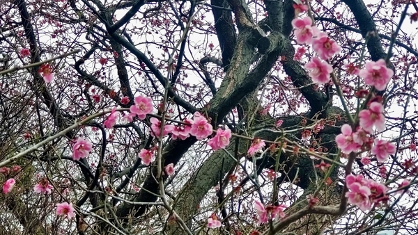 20250311152835