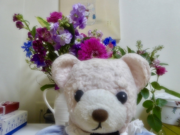 くまのぬいぐるみの写真。正面を向いている。