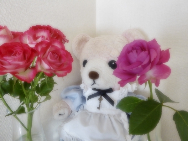 くまのぬいぐるみ写真。花瓶にいけられたバラを見ている。