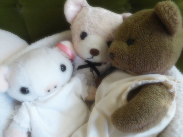 ぬいぐるみの写真。くま、くま、こぶた。
