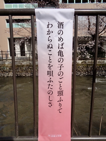 川沿いに転じされている朔太郎の歌を撮った写真。布に「酒飲めば亀の子のごと頸ふりて／わからぬことを唄ふたのしさ」と印字されている。