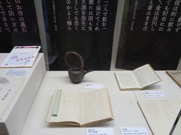 前橋文学館展示写真