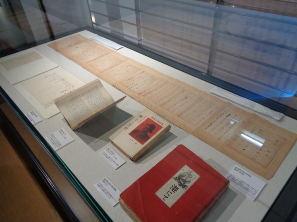 前橋文学館展示写真