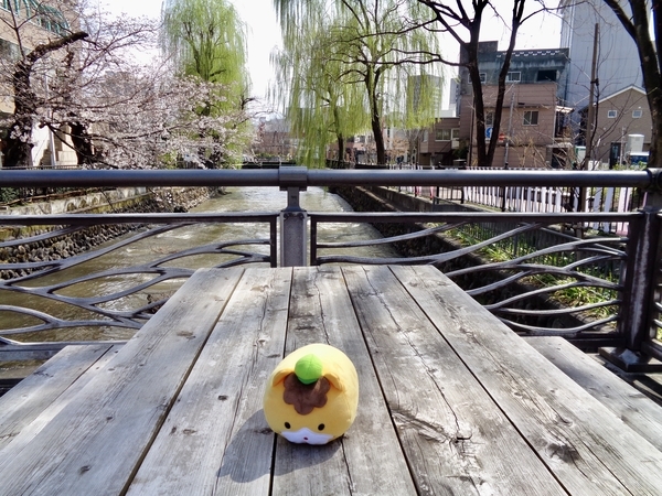 木のテーブルセットの写真。川にかかっている橋の上に、木製のテーブルとベンチのセットが置いてある。