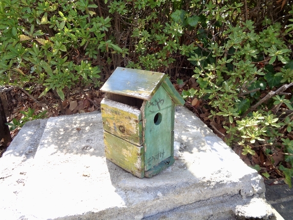 鳥の巣箱を撮った写真