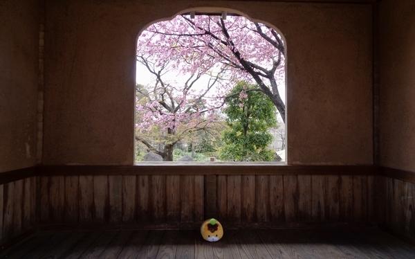 東屋内部の写真。ぐんまちゃんが座っている。