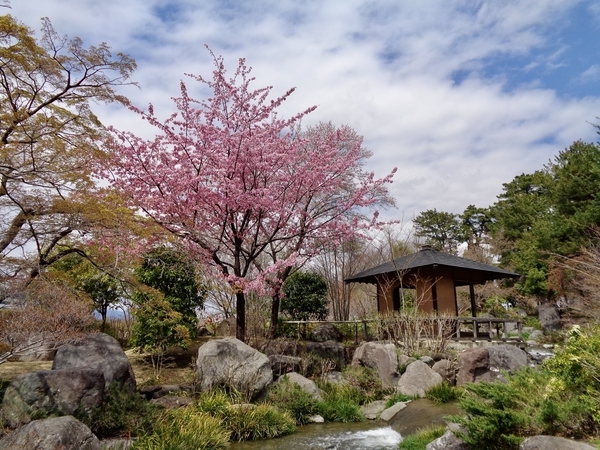 臨江閣の庭園写真。茶室、桜などの木々、人工の川。