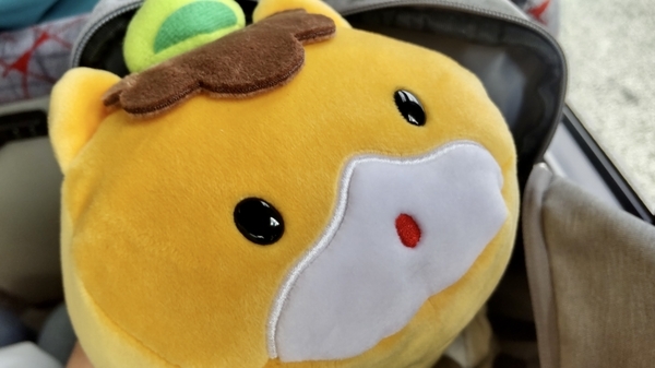 ぐんまちゃんの写真。バスに乗っている。