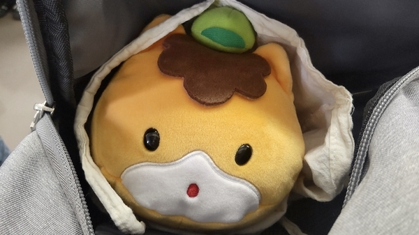 ぐんまちゃんの写真。電車内にいる。