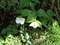 20250414222709