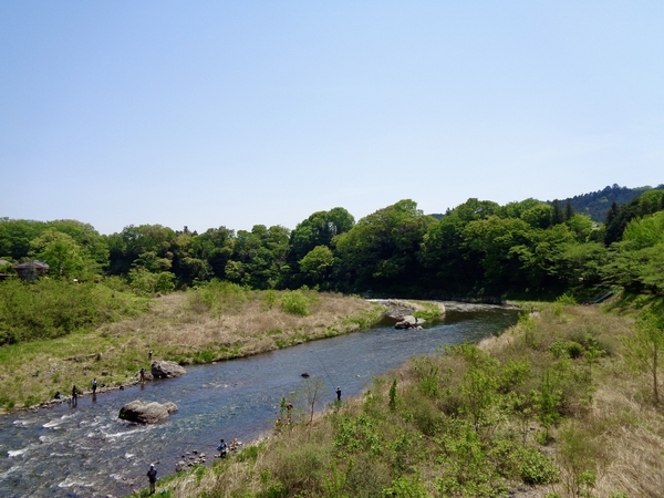 多摩川の写真