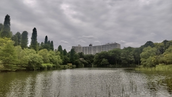 井の頭公園の池の写真。木々の向こうにマンションが見える。