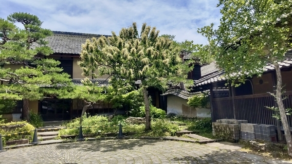 桝一市村酒造場の中庭の写真