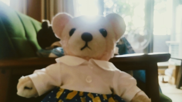 ぬいぐるみの写真。ワンピースを着たくまが発光している。