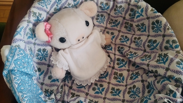 ぬいぐるみの写真。小さな子豚がかごの中でくつろいでいる。