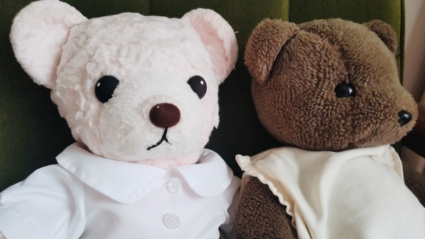 ぬいぐるみの写真。二方のくま。日差しが強い。