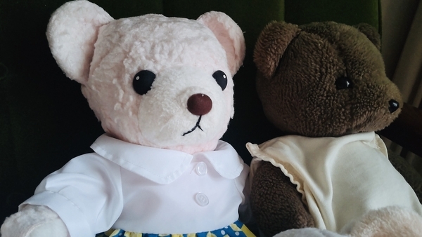 ぬいぐるみの写真。二方のくま。窓から光を受けている。