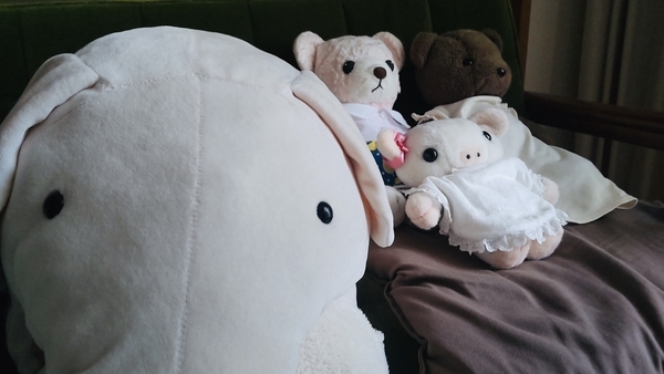 ぬいぐるみの写真。子豚がこちらを向いていて、そのむこうにくまが二方と小さな豚が一方、ソファに座っている。