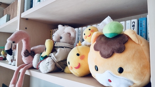 ぬいぐるみの写真。本棚の一隅にフラミンゴ、チューリップ、くま、はばタン、小さいはばタン、ぐんまちゃんが住んでいる。