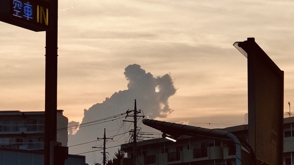 夕方の写真。雲がくまの形をしている。