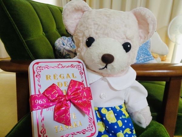 ぬいぐるみの写真。ワンピースを着たくまがクッキー缶を手にしている。