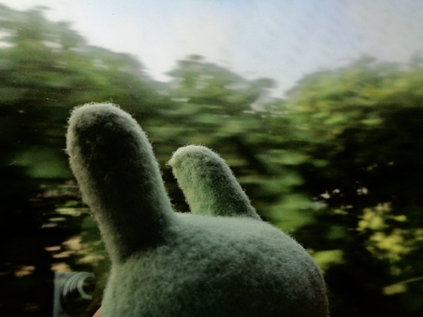 サンライズ出雲の車窓写真。手前にふかふか手枕が写っている。