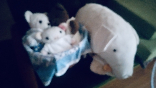 ぬいぐるみの写真。ソファの上で二方の子熊、二方の子豚がじっとしている。