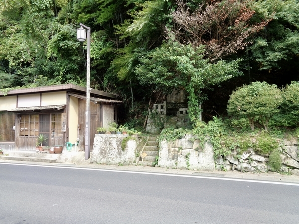 石段に猫がいるところを撮った写真