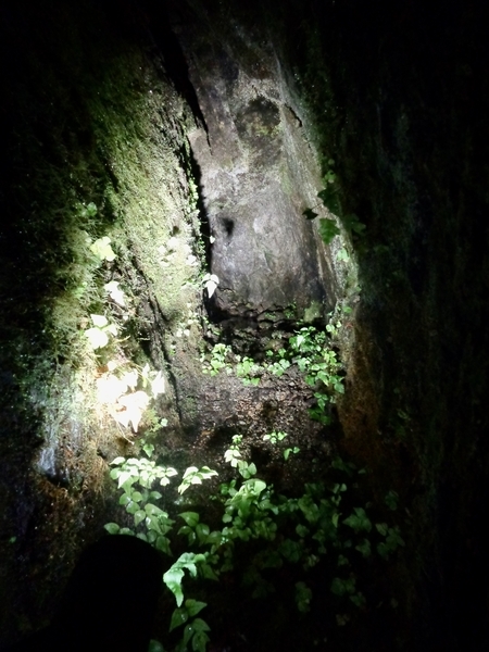 龍源寺間歩内の小さな坑道跡