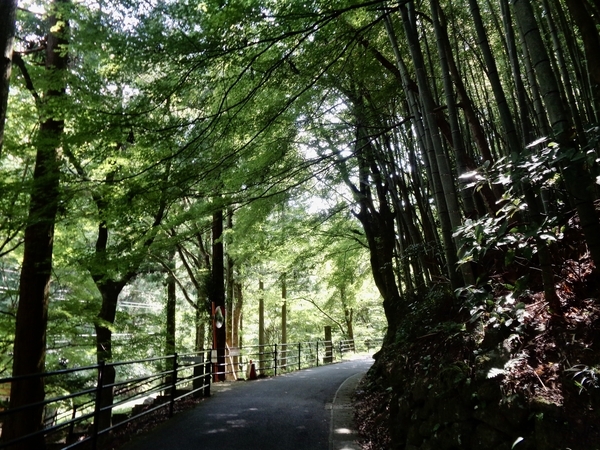 銀山の坑道に向かう道