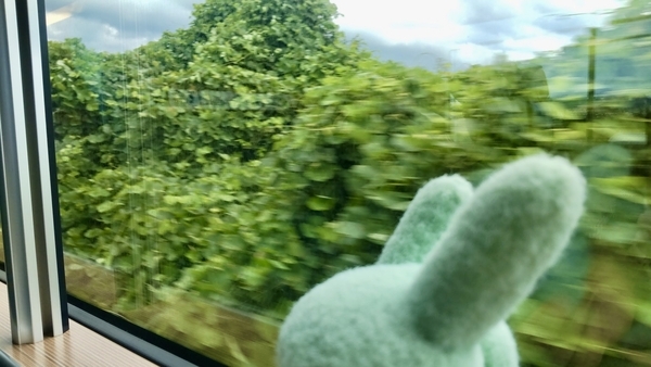 山陰本線特急車内から見た車窓の写真。手前にふかふか手枕が写っている。